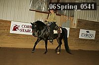06spring_0541 proof