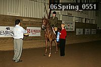 06spring_0551 proof