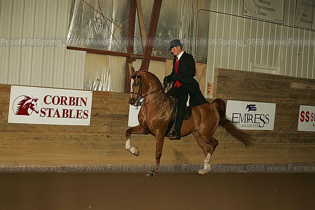 Proof 06spring_0556