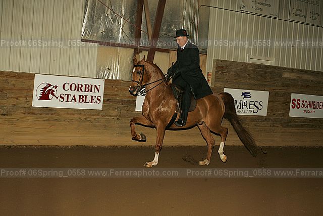 Proof 06spring_0558