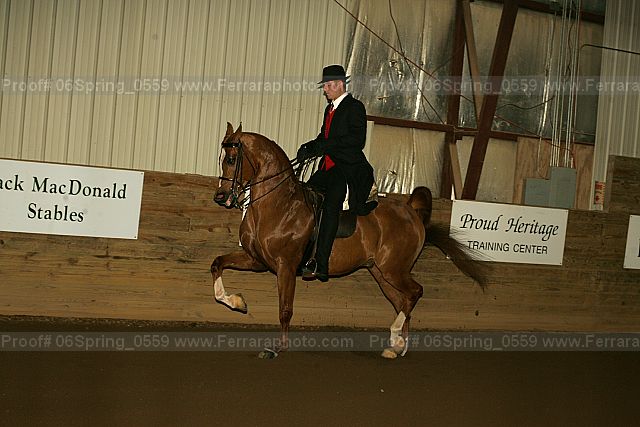 Proof 06spring_0559