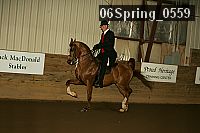 06spring_0559 proof