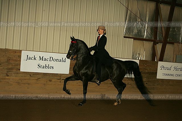 Proof 06spring_0568