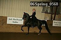 06spring_0568 proof