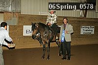06spring_0578 proof