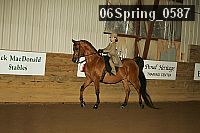 06spring_0587 proof