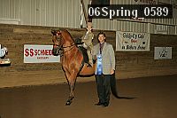 06spring_0589 proof