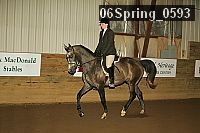 06spring_0593 proof