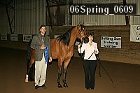 06spring_0609 proof