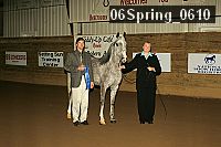 06spring_0610 proof