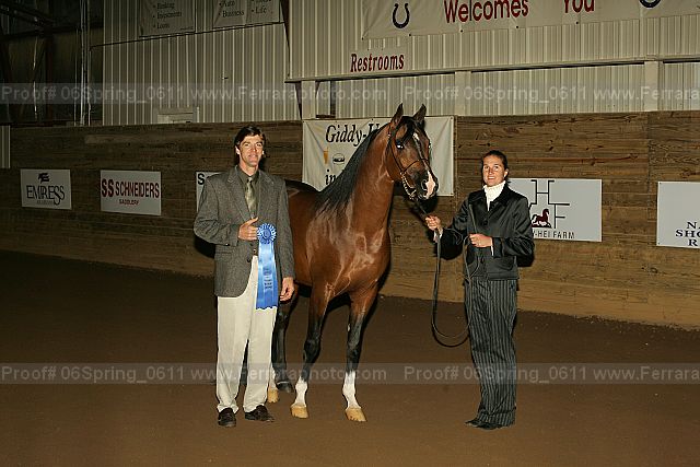 Proof 06spring_0611