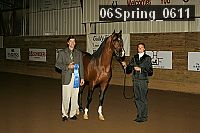 06spring_0611 proof