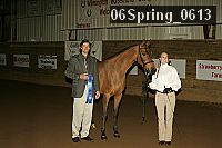 06spring_0613 proof