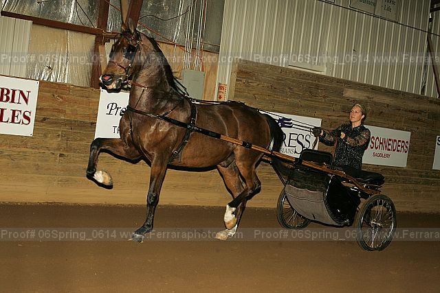 Proof 06spring_0614