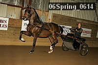 06spring_0614 proof