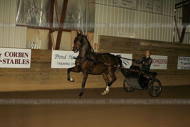 Proof 06spring_0615