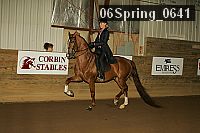 06spring_0641 proof