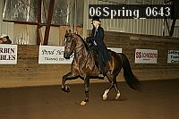 06spring_0643 proof