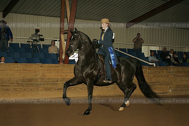 Proof 06spring_0645