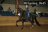 06spring_0645 proof