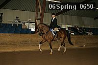 06spring_0650 proof