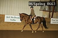 06spring_0663 proof