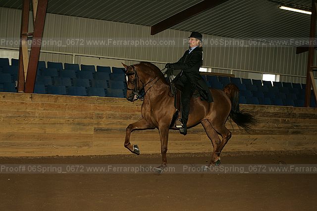 Proof 06spring_0672