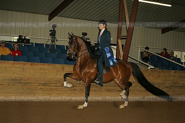 Proof 06spring_0677