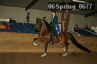 06spring_0677 proof