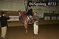 06spring_0733 proof