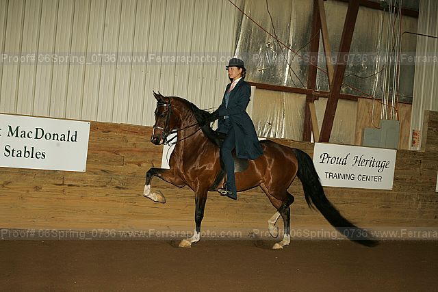 Proof 06spring_0736