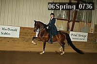 06spring_0736 proof