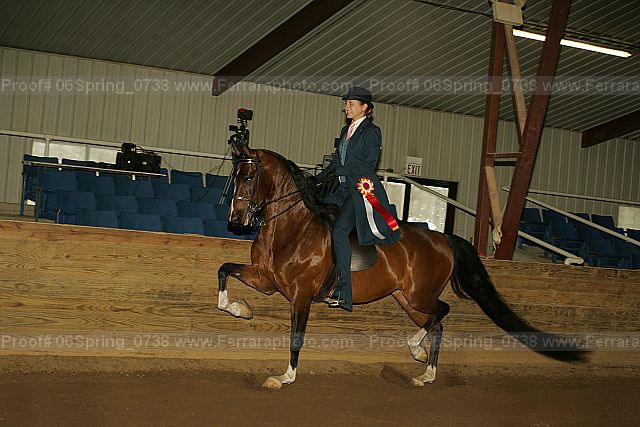 Proof 06spring_0738