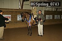 06spring_0743 proof