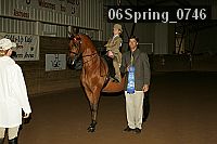 06spring_0746 proof