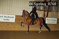 06spring_0760 proof