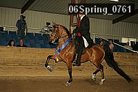 06spring_0761 proof