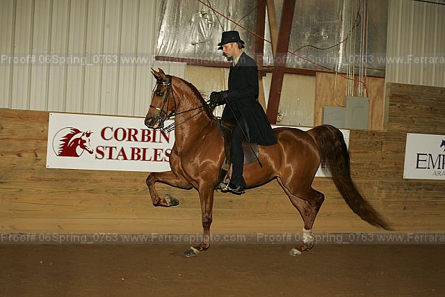 Proof 06spring_0763