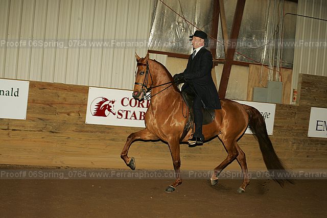 Proof 06spring_0764
