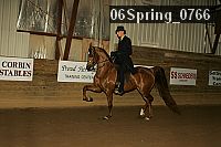 06spring_0766 proof
