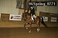 06spring_0771 proof