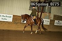 06spring_0775 proof