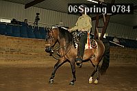 06spring_0784 proof