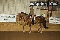 06spring_0786 proof