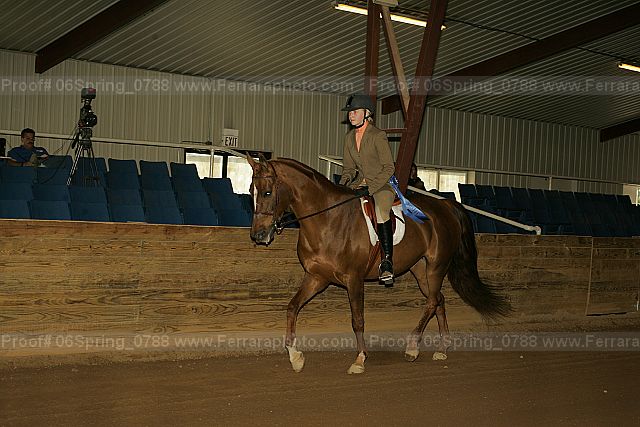 Proof 06spring_0788
