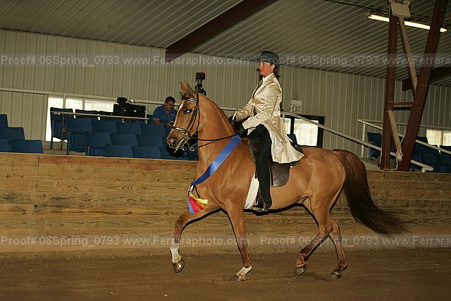 Proof 06spring_0793