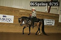 06spring_0795 proof
