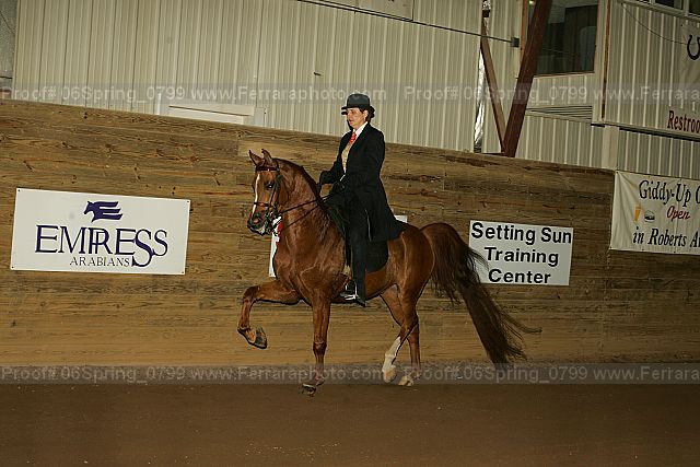 Proof 06spring_0799