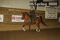06spring_0800 proof