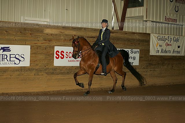 Proof 06spring_0803